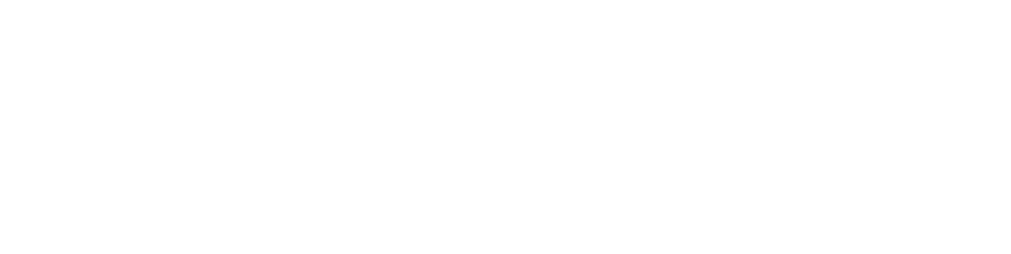 Logo Sparkwave